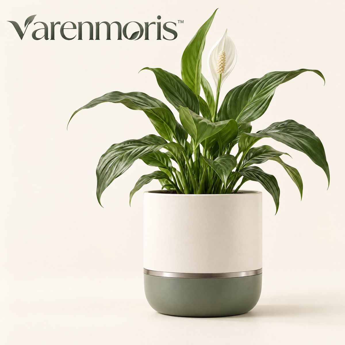 Varenmoris™ Modern Indoor Flower Pot